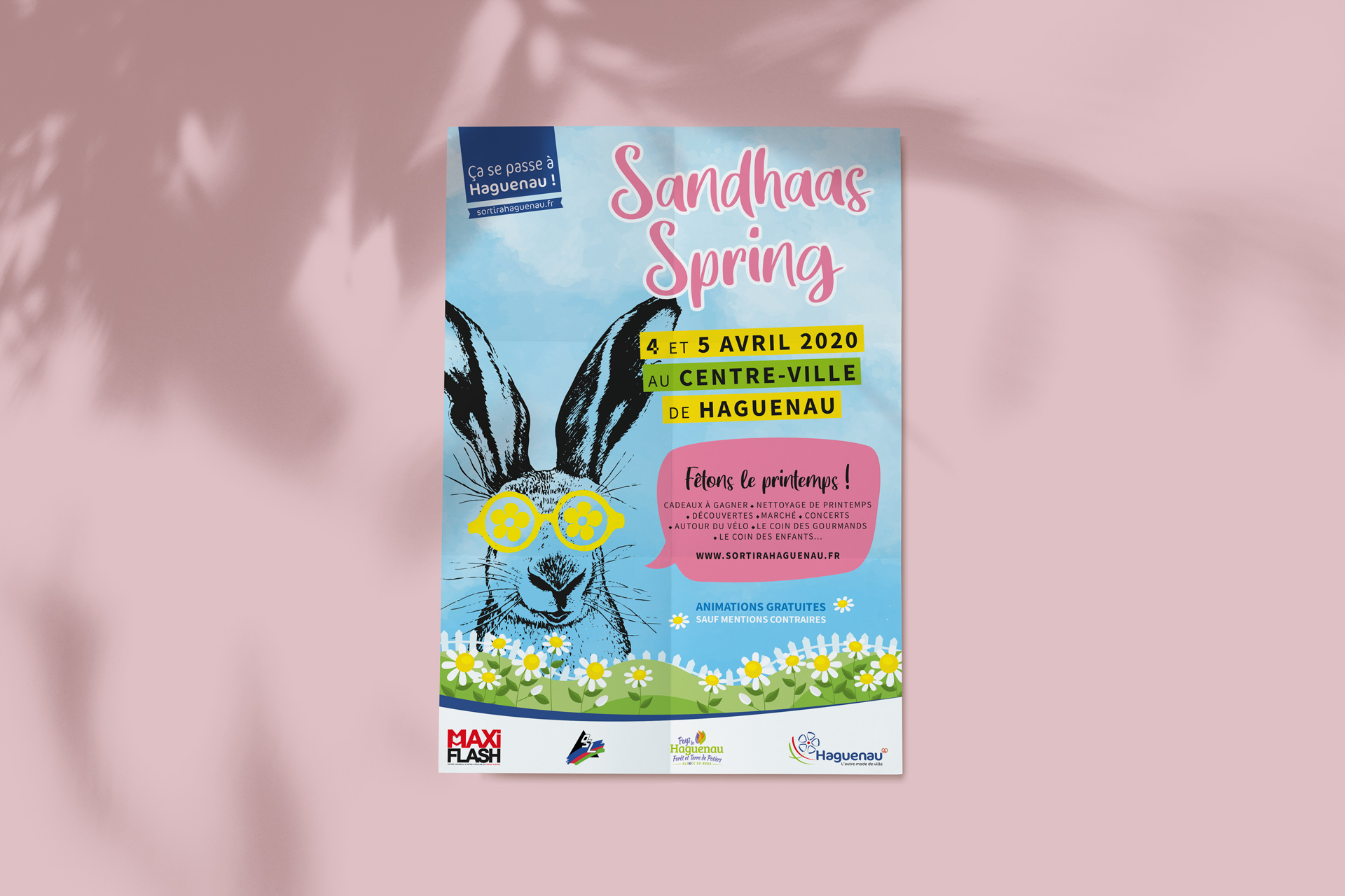 Sandhaas Spring Affiche Graphiste Haguenau